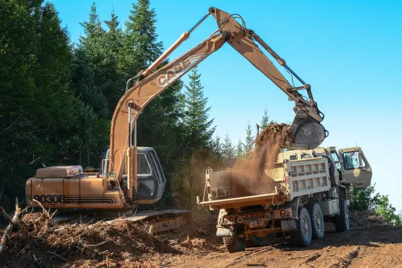 كازينو بونكرز بيت الدعم